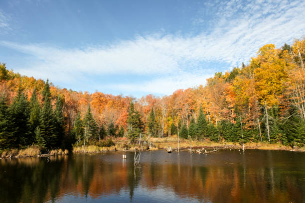 istock Beautiful autumn landscape in Shawinigan, Quebec, Canada. 859425530