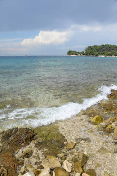 istock Coast at Rovinj, Croatia 859430550