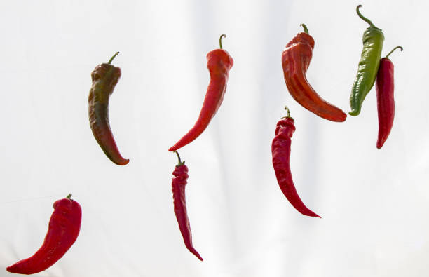 istock Red pepper plant found at the market 859431268