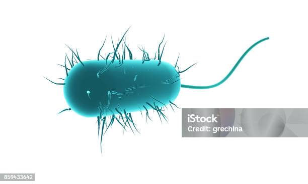 3d Isolated Blue Bacteria Stock Photo - Download Image Now - Bacterium, E. coli, Three Dimensional