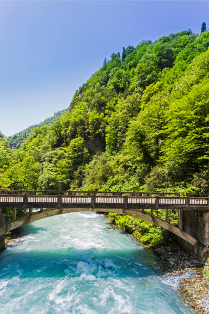 Landscape in Abkhazia with the stone bridge over river