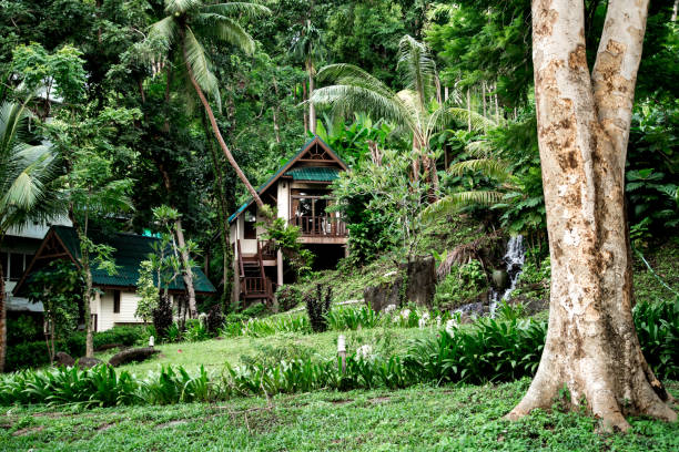 istock house in tropical forest in Thailand 859435984