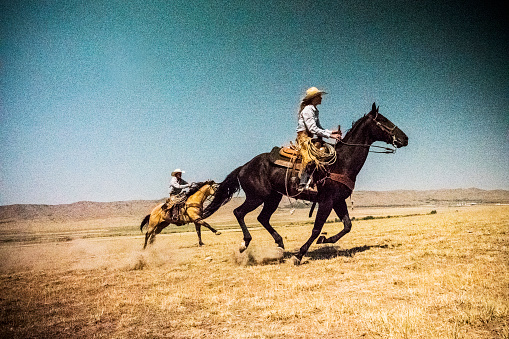 Cowboys riding horses in pasture,