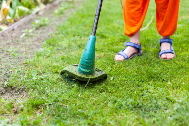 matériels de jardinage. jeune femme tondre le gazon avec une tondeuse. - hedge clippers weed trimmer grass lawn photos et images de collection