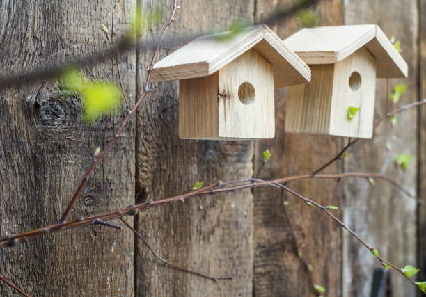 istock Wooden birdhouses 859441844