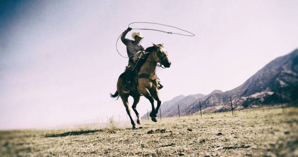 投げ縄の写真のストックフォト