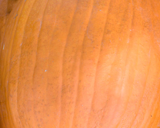 istock Pumpkin skin texture close-up 859446028