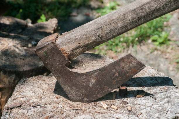 istock Old wooden axes on wooden log 859448776
