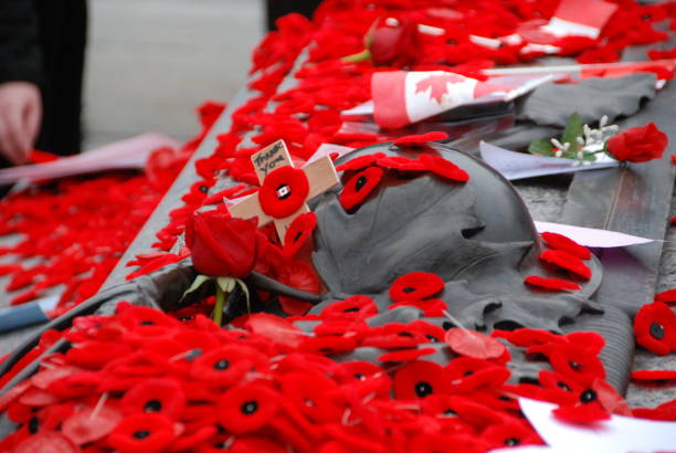 remembrance day - kriegsdenkmal stock-fotos und bilder