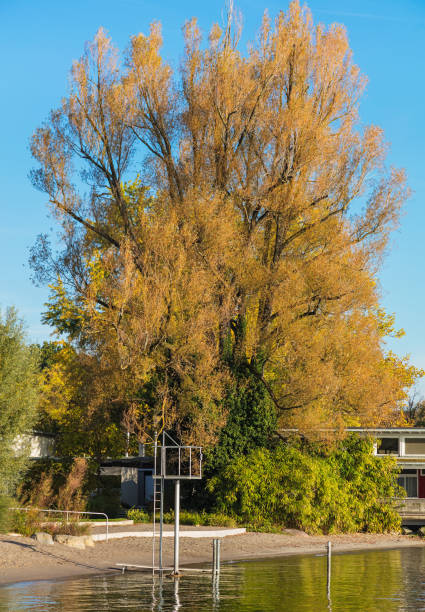 Lakeside of the city of Zurich in Switzerland in autumn.