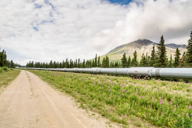 istock Pipeline Landscape with Purple Flowers 859453176