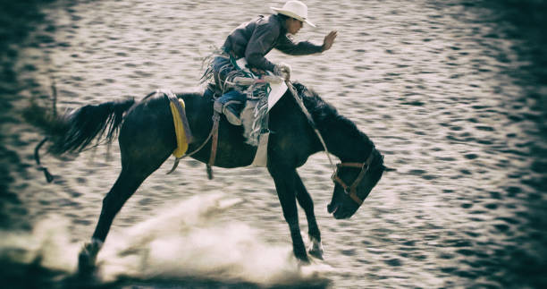 istock Cowboy on Bucking Bronco Horse 859455658