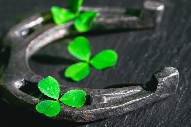 istock horseshoe and shamrock on black stone 859462060