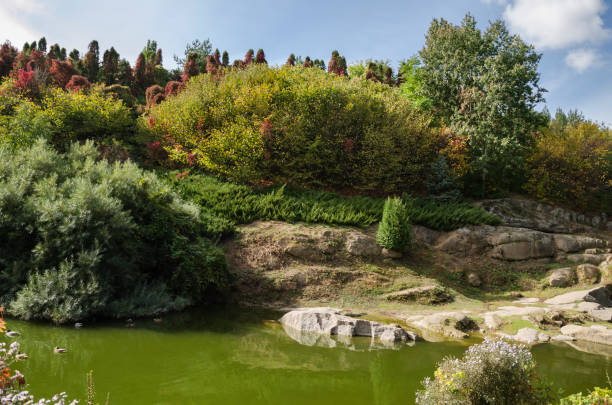 istock autumn landscape autumn warm day 859464888