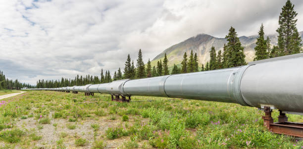 panorama paesaggistico estivo pipeline - north slope foto e immagini stock