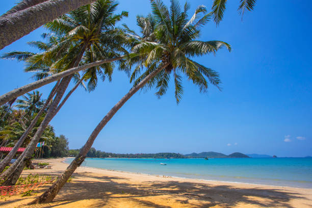 istock Beautiful tropical beach at island Koh Chang 859472620