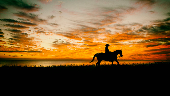 Lone cowboy on horseback in a field with as sunset.