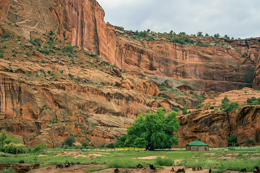 The magical canyons, pre-coulmbian ruins and settlements of Canyon de Chelly National Monument in the summer of 2008.