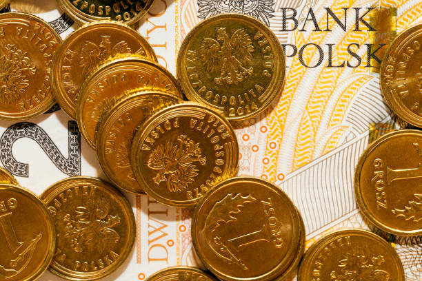istock Polish money, close-up 859479138