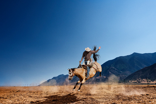 Cowboy riding bucking horse in pasture with mountains in the background.