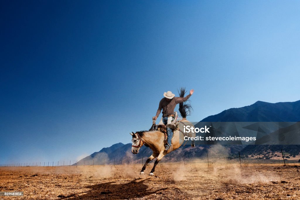 Bucking Horse Cowboy riding bucking horse in pasture with mountains in the background. Rodeo Stock Photo