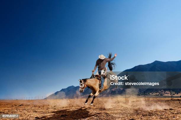 Bucking Horse Stock Photo - Download Image Now - Rodeo, Cowboy, Horse