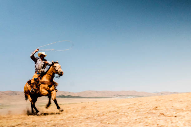 Cowboys riding horses in pasture,