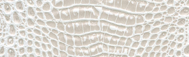 istock texture of skin 859482702