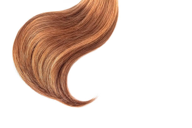 istock Natural hair on a white background 859483196