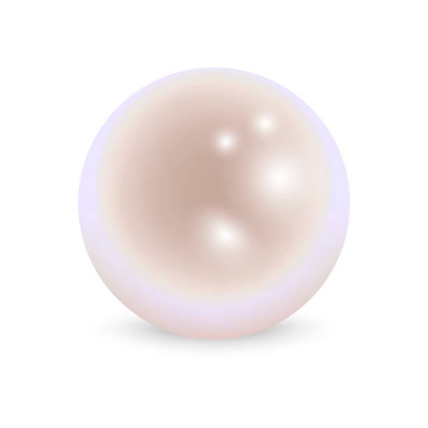 illustrations, cliparts, dessins animés et icônes de pearl réaliste sur fond blanc. vector. - sphere ball toy black background