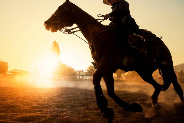 istock Cowboy Riding Horse at Sunset 859485912