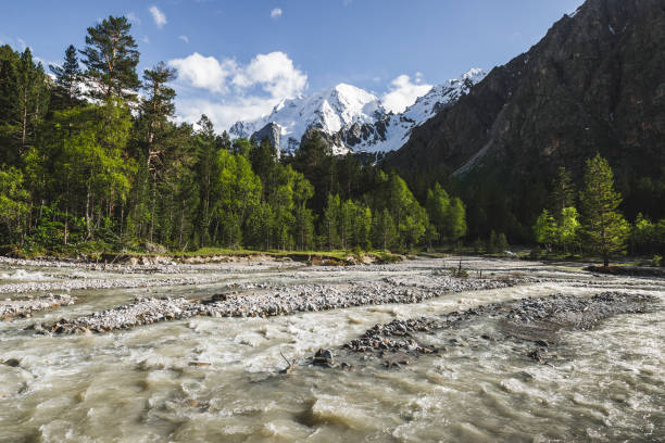 corriente del río fuerte en las montañas del cáucaso, bosque de coníferas y cimas de rocas en la nieve, vista de ullu-tau sobre fondo - confucian forest fotografías e imágenes de stock