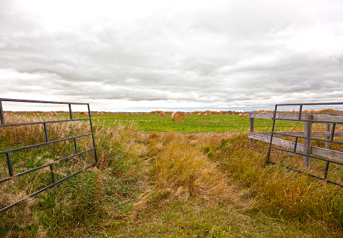 metal or wood gates leading to a field with haybales and dark overcast sky