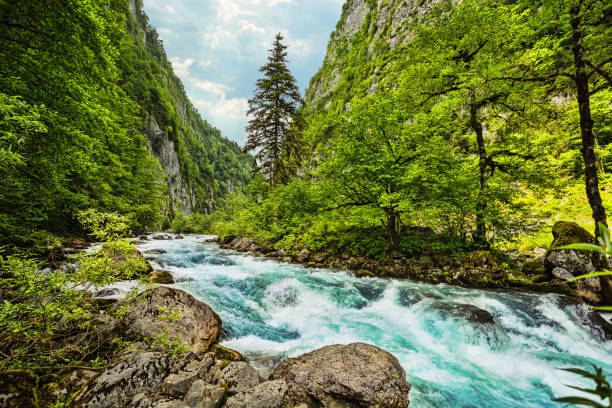 istock Landscape in Abkhazia with Caucasian ridge and river 859489546
