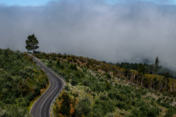 istock Road leading to the clouds 859489940