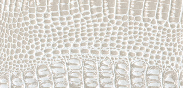 istock texture of skin 859494044