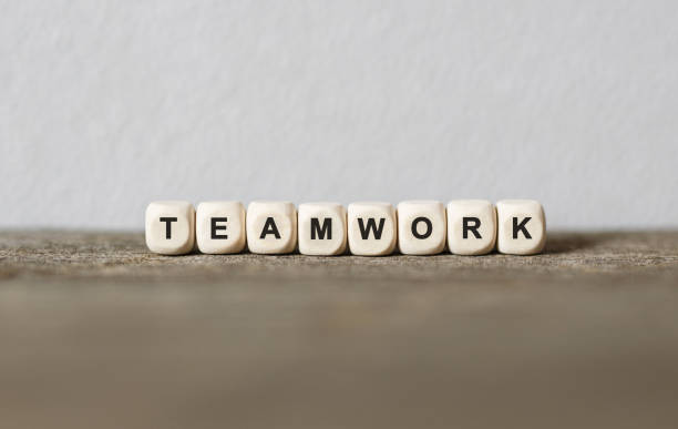 istock Word TEAMWORK made with wood building blocks 859494682