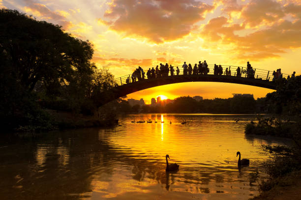 Sao Paulo, Brazil A romantic sunset in Sao Paulo, Brazil ibirapuera park stock pictures, royalty-free photos & images