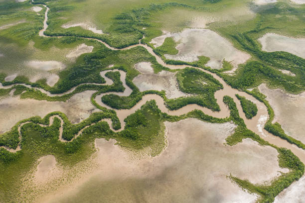 aerial view of the delta of the Adelaide River, Djukbinj National Park stock photo