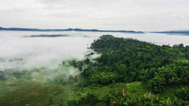 istock Mountains with trees and fog . 859503800