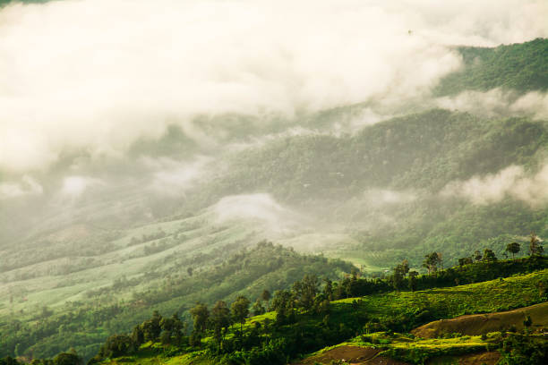 istock Morning Mist with Mountain ,sea of mis. 859503904