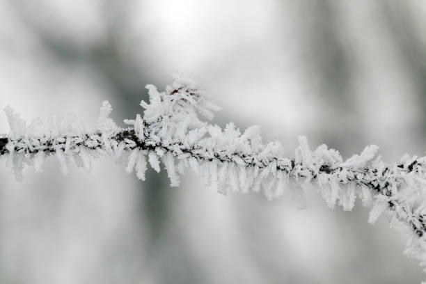 istock Winter season. Photo 859507116