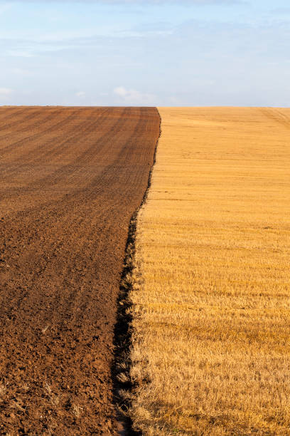 istock plowed agricultural field 859510474