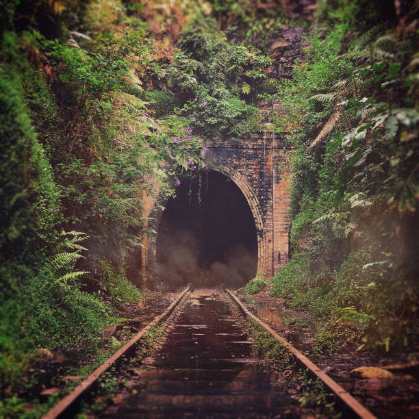 istock Spooky abandoned railway tunnel 859510758