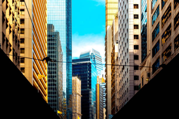 istock Modern office building detail, glass surface 859525636