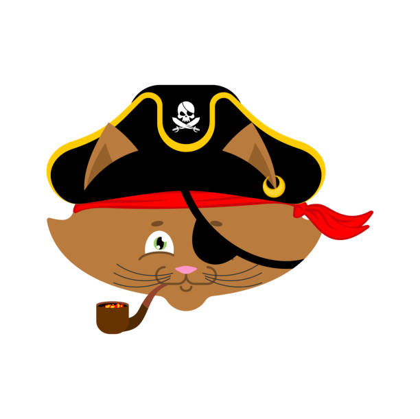 istock Cat pirate. Home pet buccaneer. filibuster hat and smoking pipe. Vector illustration. 859526160
