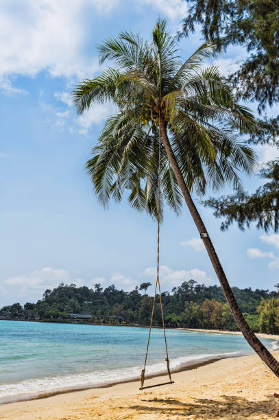 istock Beautiful tropical beach at island Koh Chang 859530092