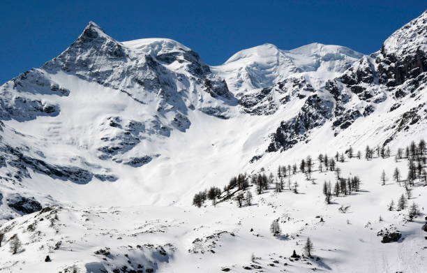 dolina górska w szwajcarii w pobliżu st. moritz zimą - piz palü zdjęcia i obrazy z banku zdjęć