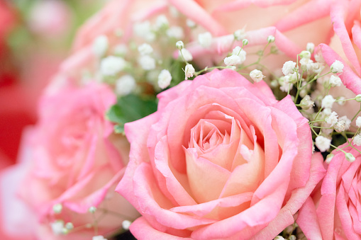 Red rose And pink beautifully arranged in a flower vase. Have romantic Decorate in important events such as wedding decoration in the building. And give it to the loved ones. copy space.