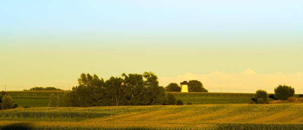istock yellow meadow with crops and trees with a white windmill 859540988